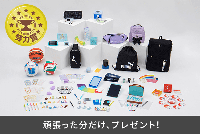 進研ゼミ小学講座の努力賞